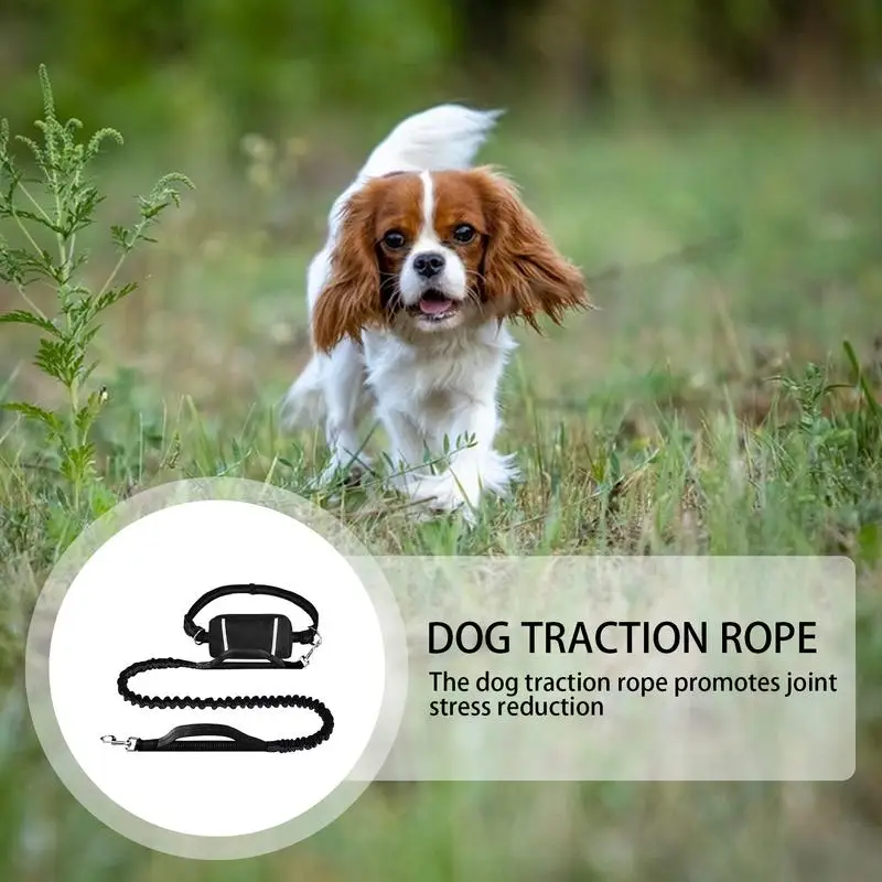 Walking Dog Rope Pet Traction Walking Rope With Fanny Pack Adjustable Reflective Dog Cord For Travel Camping Hiking Outdoor
Walking Dog Rope Pet Traction Walking Rope With Fanny Pack Adjustable Reflective Dog Cord For Travel Camping Hiking Outdoor