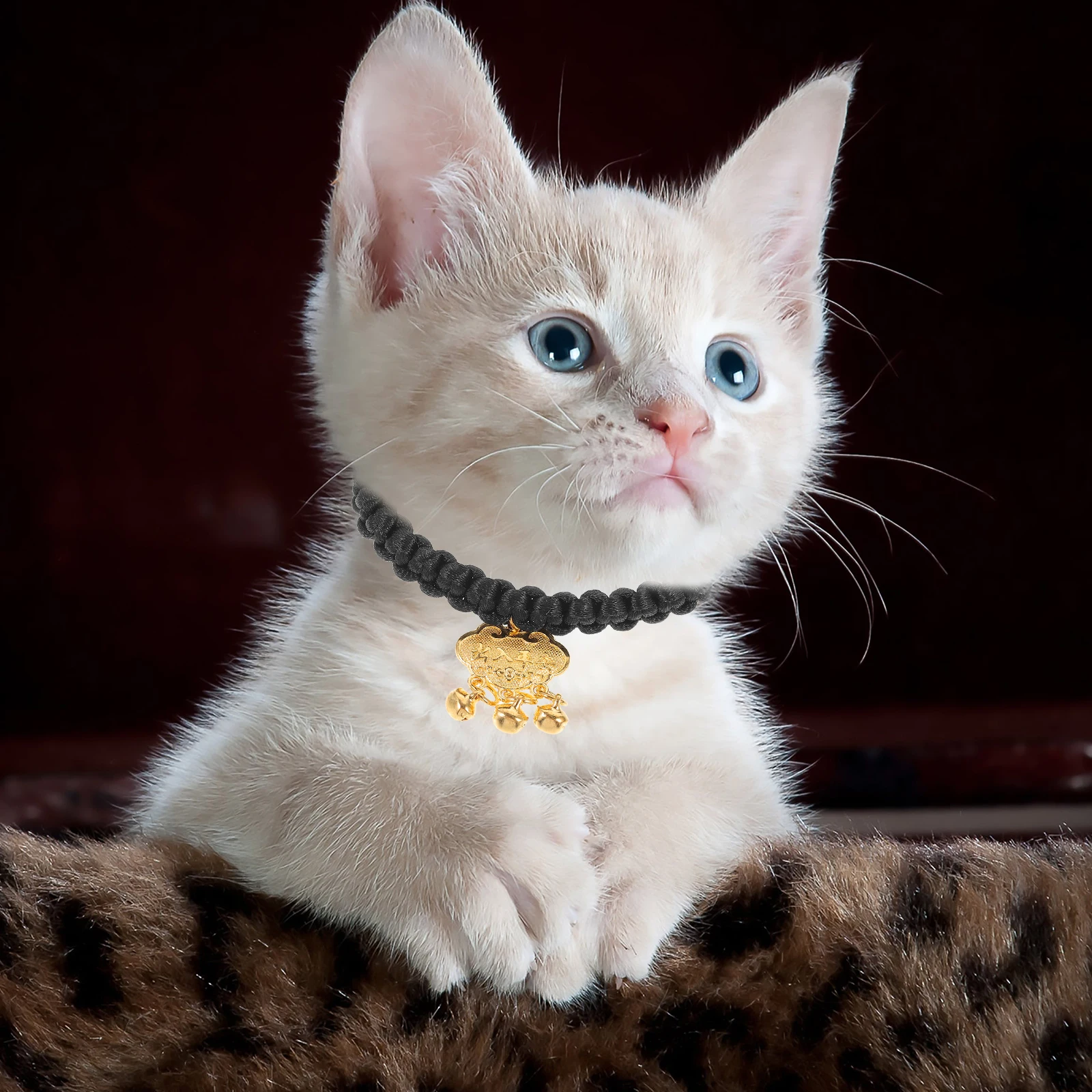 Gold Lock Necklace Adjustable Dog Collar Decorative Hanging Bells Crafted Cat Supplies Sweet Sound Pet Jewelry
Gold Lock Necklace Adjustable Dog Collar Decorative Hanging Bells Crafted Cat Supplies Sweet Sound Pet Jewelry