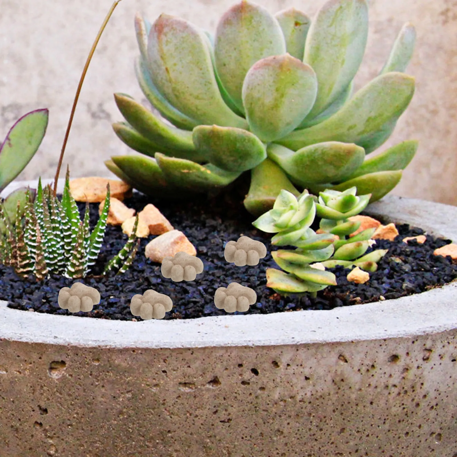 20Pcs Cat Paw Resin Garden Decorations Miniature Stepping Stones Outdoor Patio Flower Pot Planter Bonsai Yard Decor
20Pcs Cat Paw Resin Garden Decorations Miniature Stepping Stones Outdoor Patio Flower Pot Planter Bonsai Yard Decor