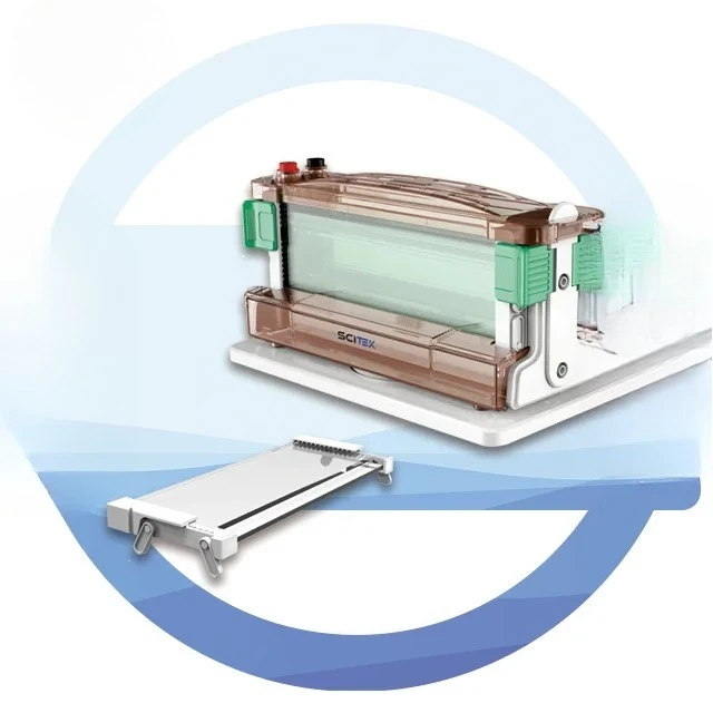Vertical Gel Electrophoresis Chamber Default Horizontal Gluing Electrophoresis Tank
Vertical Gel Electrophoresis Chamber Default Horizontal Gluing Electrophoresis Tank