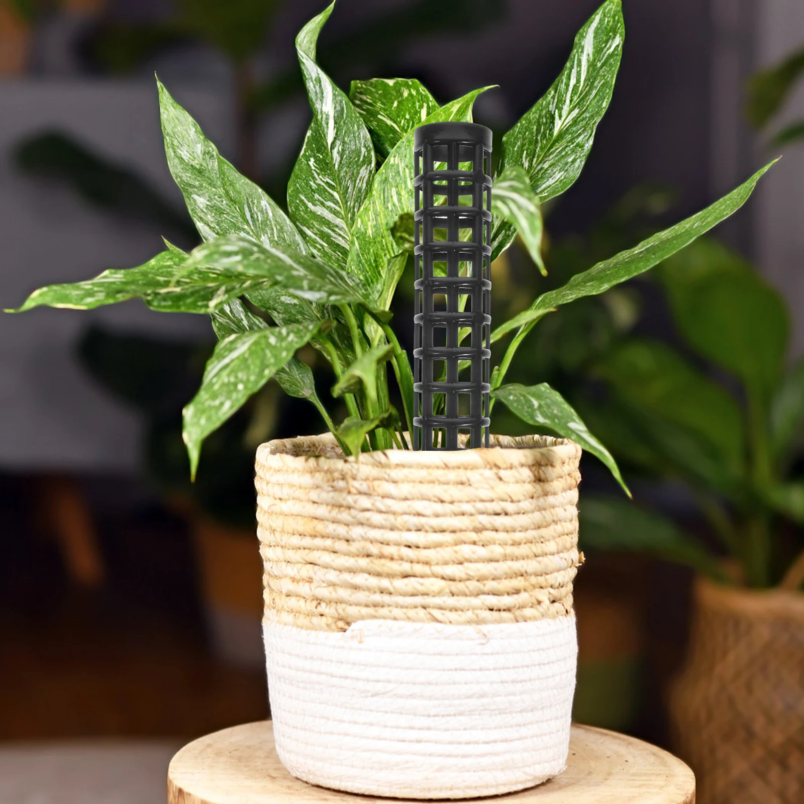 2 Pcs Climbing Column Plastic Vine Support for Potted Plants Decorative Trellis Moss Pole Support Potted Vines Garden
2 Pcs Climbing Column Plastic Vine Support for Potted Plants Decorative Trellis Moss Pole Support Potted Vines Garden