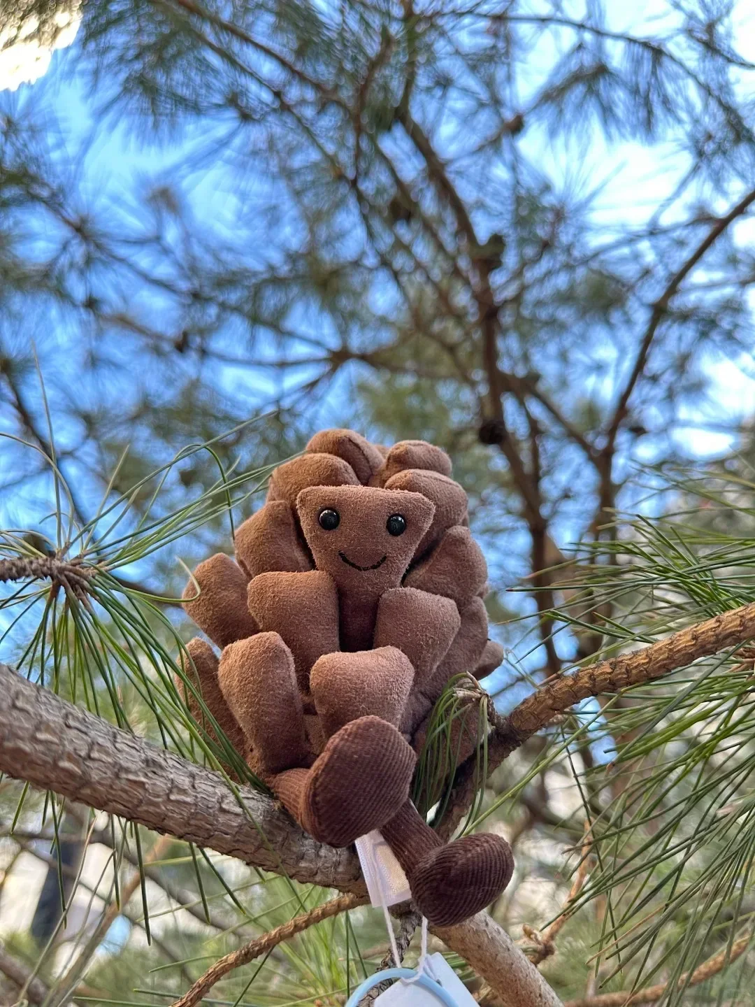 For Jelly Cat Limited Edition Amuseables Pine Cone Plush Doll With Gift Box Home Decoration Holiday Gift Interactive Toy
For Jelly Cat Limited Edition Amuseables Pine Cone Plush Doll With Gift Box Home Decoration Holiday Gift Interactive Toy