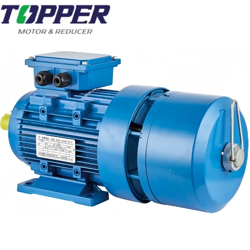 YEJ2 Series Three-Phase AC Motors Electromagnetic-Break Electric Motor for Farm Stainless Steel Grass Pellet Machine
YEJ2 Series Three-Phase AC Motors Electromagnetic-Break Electric Motor for Farm Stainless Steel Grass Pellet Machine