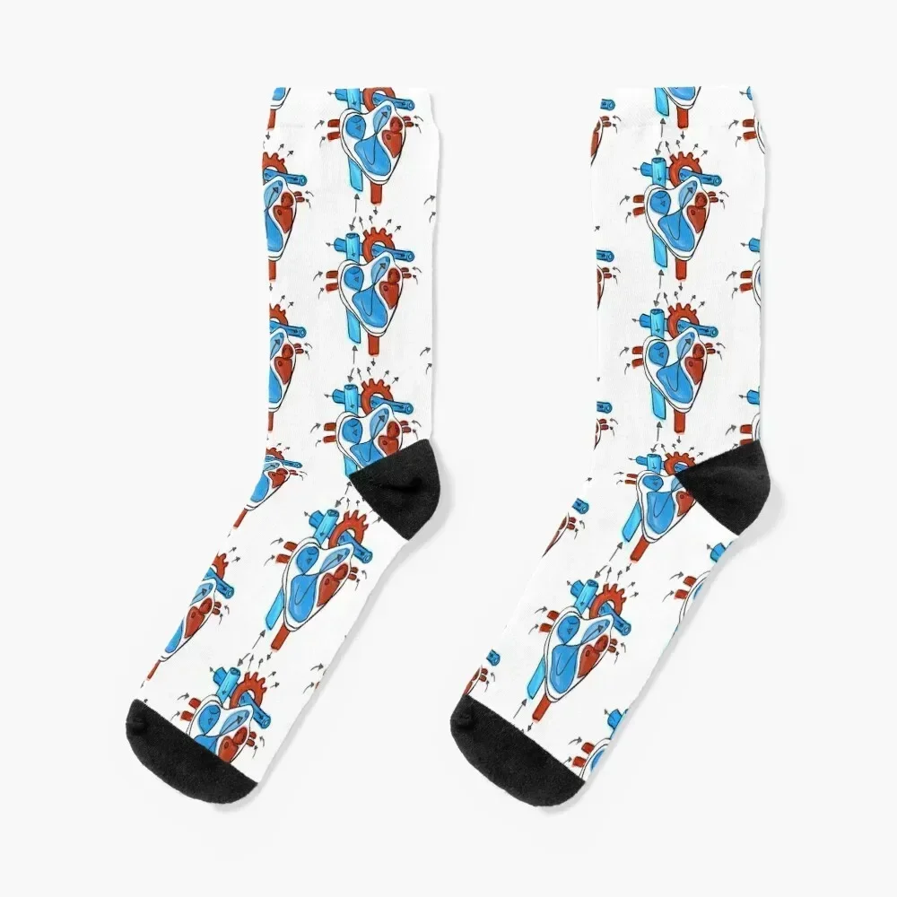 Anatomical Heart Doodle Socks cotton professional running cycling New year's Woman Socks Men's
Anatomical Heart Doodle Socks cotton professional running cycling New year's Woman Socks Men's