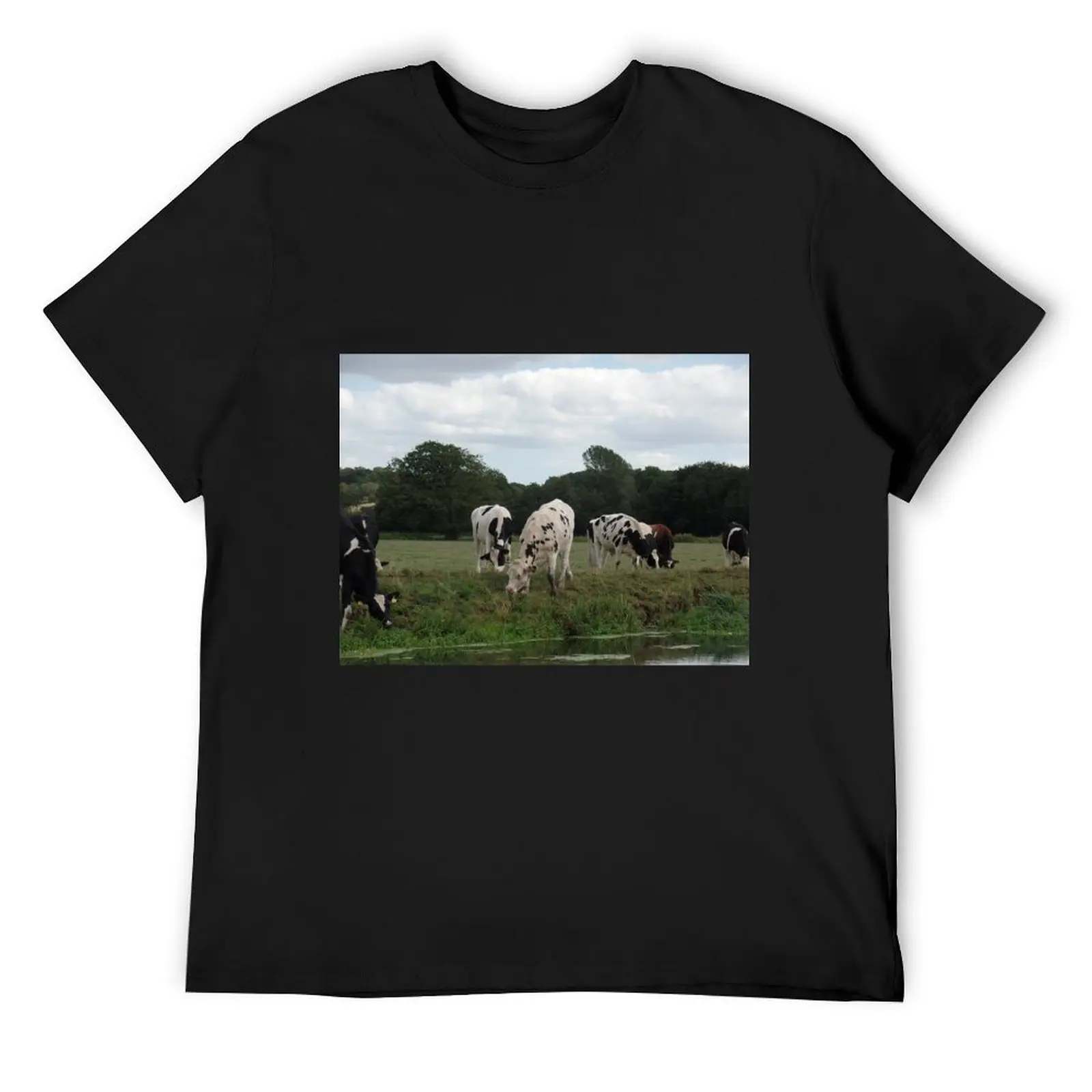 Fresian Catte T-Shirt kawaii clothes heavyweights tees Clothing luxury clothes men
Fresian Catte T-Shirt kawaii clothes heavyweights tees Clothing luxury clothes men