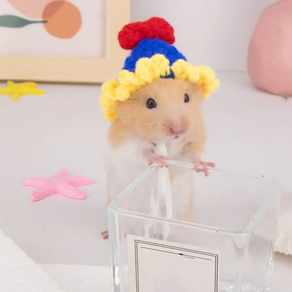 Pet Headdress Cartoon Hamster Hat Handmade Adjustable Pet Knitted Hat Soft Small Pet Caps For Parrot Guinea Pig Hamster
Pet Headdress Cartoon Hamster Hat Handmade Adjustable Pet Knitted Hat Soft Small Pet Caps For Parrot Guinea Pig Hamster