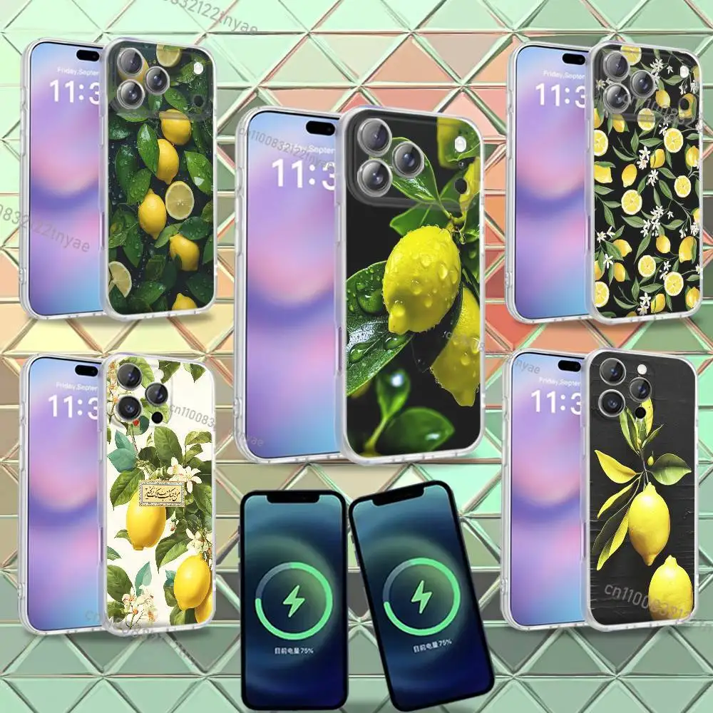 Retro Fruit lemon Phone Case For iPhone 16,14,11,17,13,15,12,Air,Plus,Pro,Max,E,Mini Frosted for MagSafe Magnetic
Retro Fruit lemon Phone Case For iPhone 16,14,11,17,13,15,12,Air,Plus,Pro,Max,E,Mini Frosted for MagSafe Magnetic