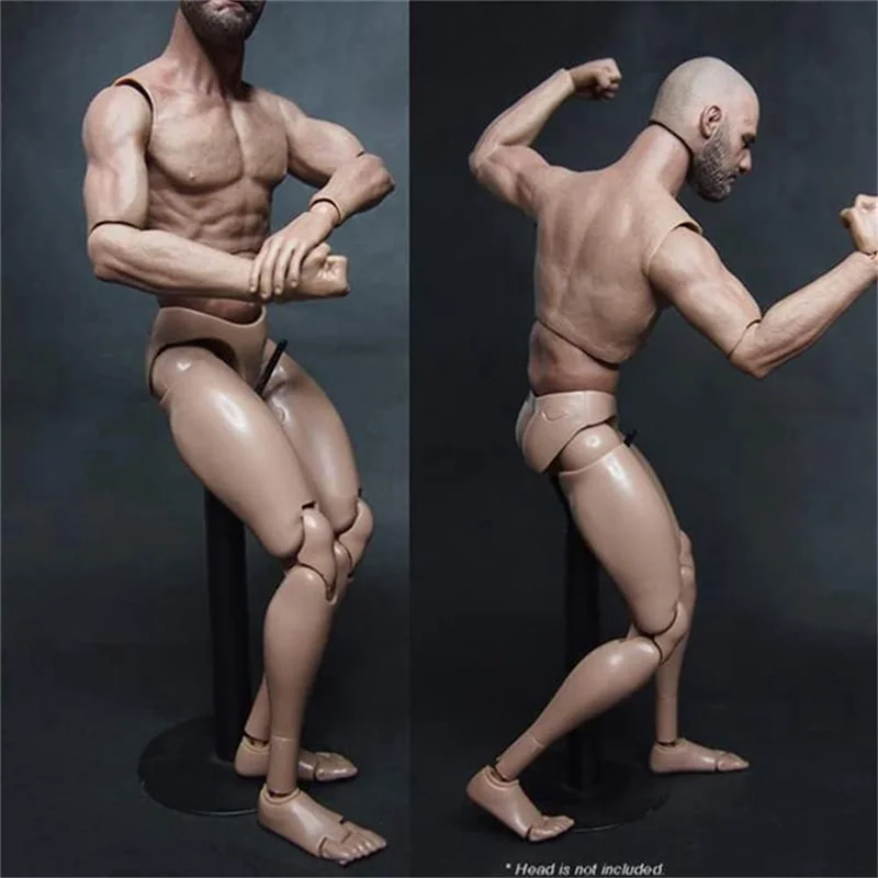 Plastic Action Figure 1/6 Scale Action Figure For TTM18 TTM19 Hot Toys & Human Body Sketch Model
Plastic Action Figure 1/6 Scale Action Figure For TTM18 TTM19 Hot Toys & Human Body Sketch Model