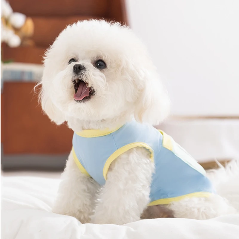 Puppy Sun Clothes Spring and Summer Teddy Short-sleeved Bichon Pocket Undershirt Schnauzer Cooling Two-legged T-shirt
Puppy Sun Clothes Spring and Summer Teddy Short-sleeved Bichon Pocket Undershirt Schnauzer Cooling Two-legged T-shirt