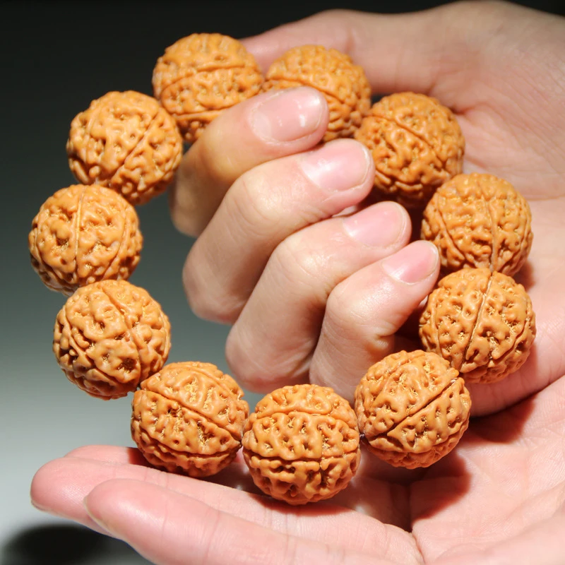 Large Vajra Bodhi Bead Bracelet, Original Seed, Yellow , Full of Honeycomb Texture, Red Skin, 6-, 7-, 8-Petal
Large Vajra Bodhi Bead Bracelet, Original Seed, Yellow , Full of Honeycomb Texture, Red Skin, 6-, 7-, 8-Petal