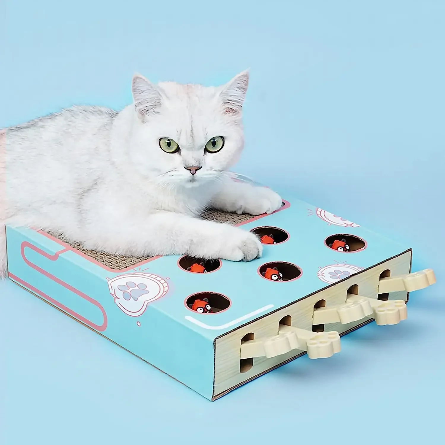 Cat Interactive Toys Whack a Mole Game Cat Puzzle Toy Funny Kitten Toys for Indoor Cats Safe Fun Box Paws Scratcher
Cat Interactive Toys Whack a Mole Game Cat Puzzle Toy Funny Kitten Toys for Indoor Cats Safe Fun Box Paws Scratcher