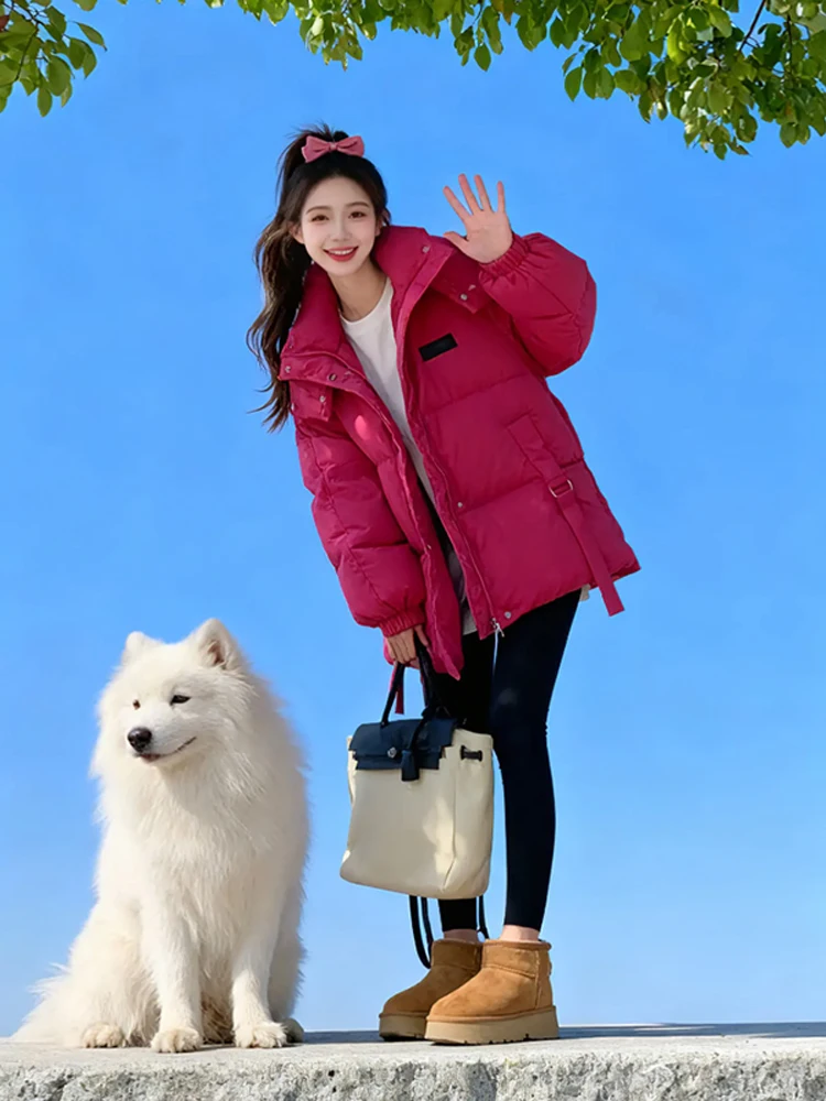 Модная утепленная свободная женская куртка-пуховик из хлопка, короткая, на молнии, в корейском стиле, новинка зимы
Модная утепленная свободная женская куртка-пуховик из хлопка, короткая, на молнии, в корейском стиле, новинка зимы