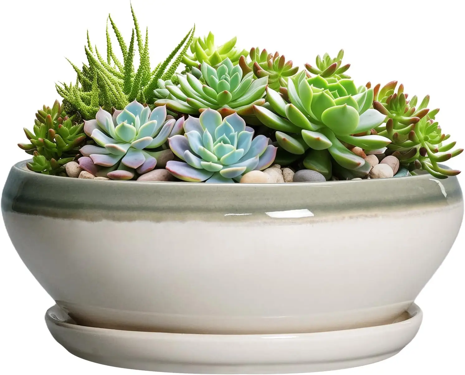 12 Inch Ceramic Succulent Planter with Drainage Hole & Saucer, Shallow Round Pot for Indoor/Outdoor Plants, Home Decor, Gray-Beige
12 Inch Ceramic Succulent Planter with Drainage Hole & Saucer, Shallow Round Pot for Indoor/Outdoor Plants, Home Decor, Gray-Beige