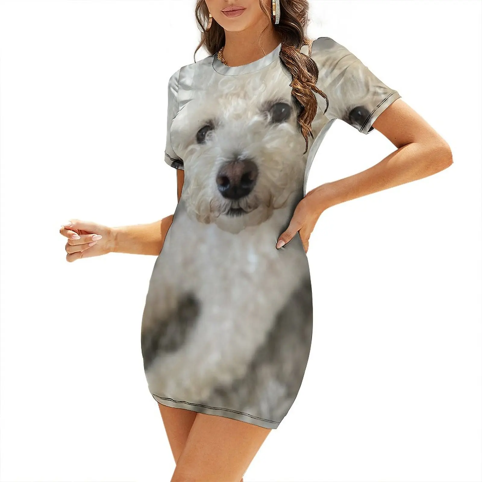 Cavachon Short-Sleeved Dress summer dress korean women elegant chic women dresses promotion Dress
Cavachon Short-Sleeved Dress summer dress korean women elegant chic women dresses promotion Dress