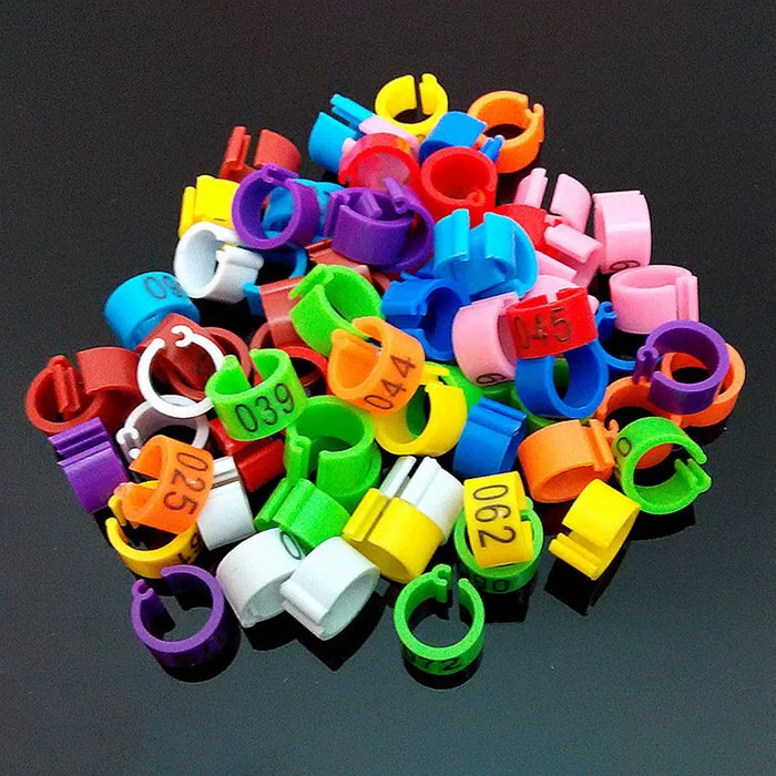 Mount Digital Pigeon Recognition Foot Ring 8mm Open Pigeon Foot Ring Supplies and Tools Bird Accessories Bird Rings
Mount Digital Pigeon Recognition Foot Ring 8mm Open Pigeon Foot Ring Supplies and Tools Bird Accessories Bird Rings