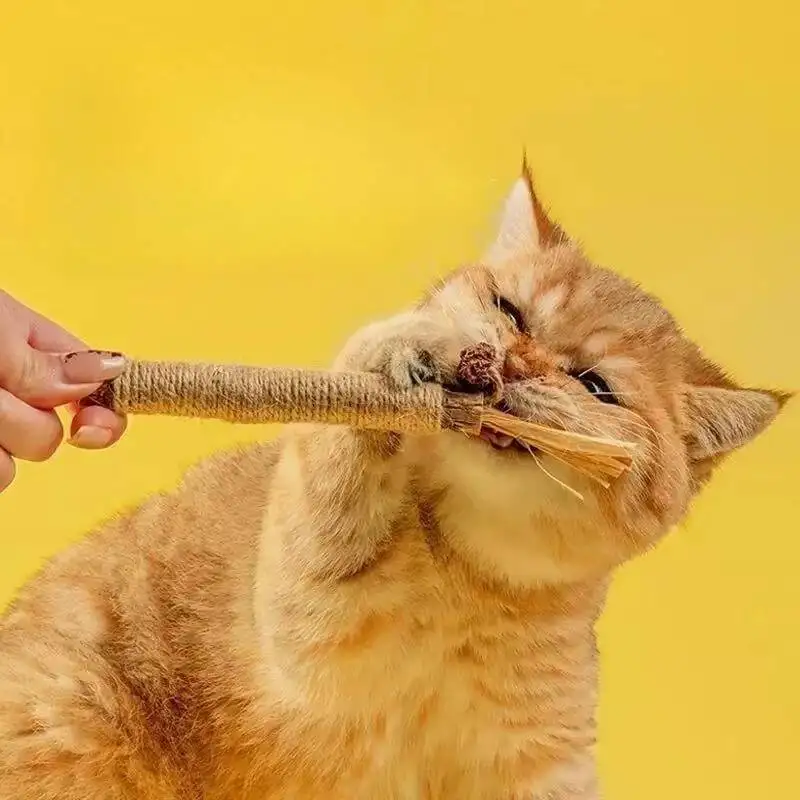 New Teeth Bite Prevention Cleaning Teasing Cats Sticks Self Entertainment Supplies Pet Toys Cat Toy
New Teeth Bite Prevention Cleaning Teasing Cats Sticks Self Entertainment Supplies Pet Toys Cat Toy
