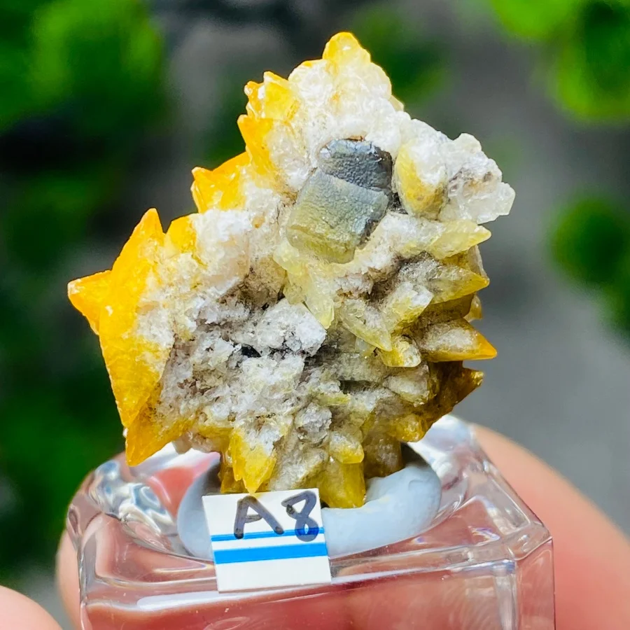 Natural China Fluorite and crystal symbiosis mineral specimens Teaching Reiki Healing Stone Home Decor
Natural China Fluorite and crystal symbiosis mineral specimens Teaching Reiki Healing Stone Home Decor