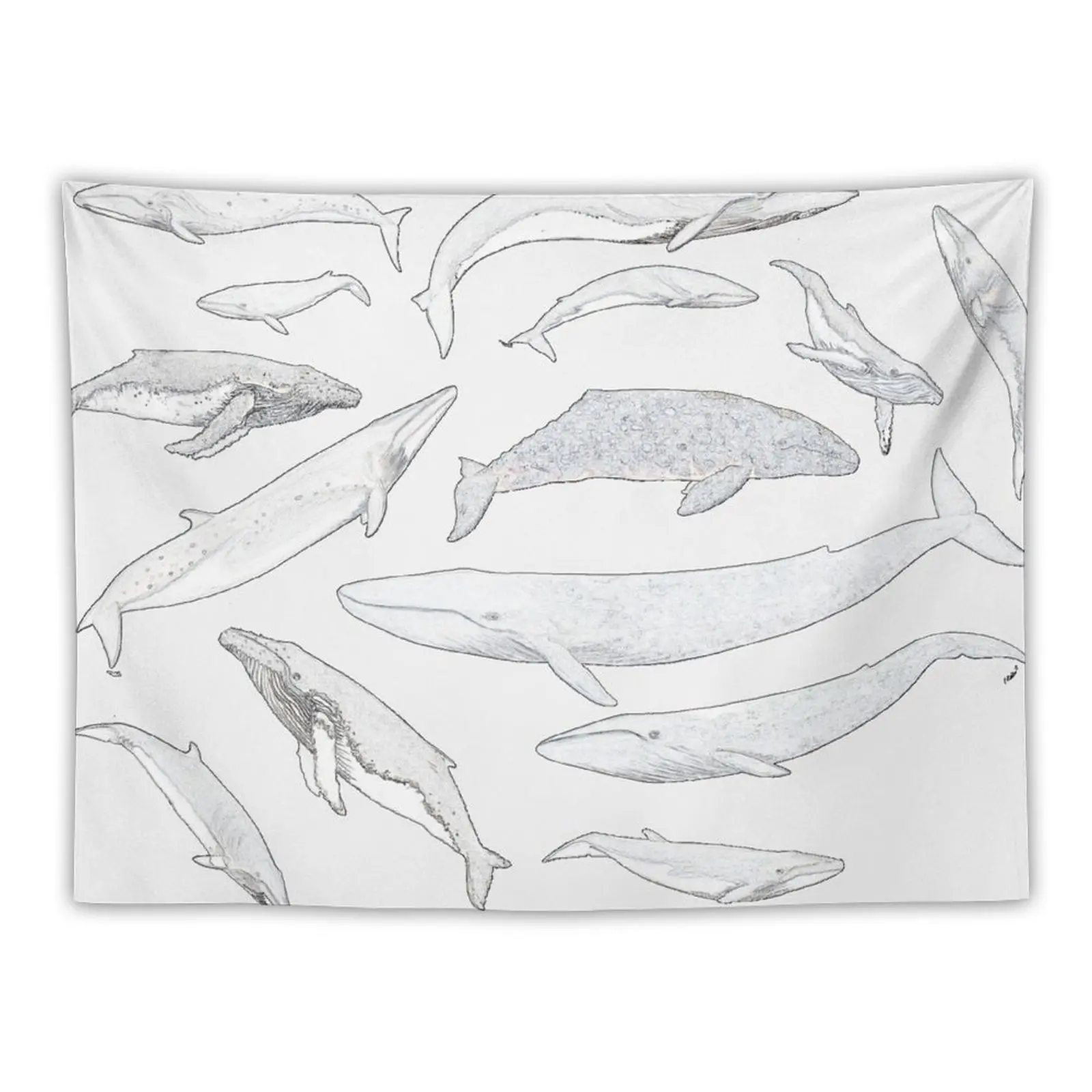 New Whales of the world Tapestry Tapestries Wall Hanging Decoration Pictures Room Wall Tapestry On The Wall
New Whales of the world Tapestry Tapestries Wall Hanging Decoration Pictures Room Wall Tapestry On The Wall