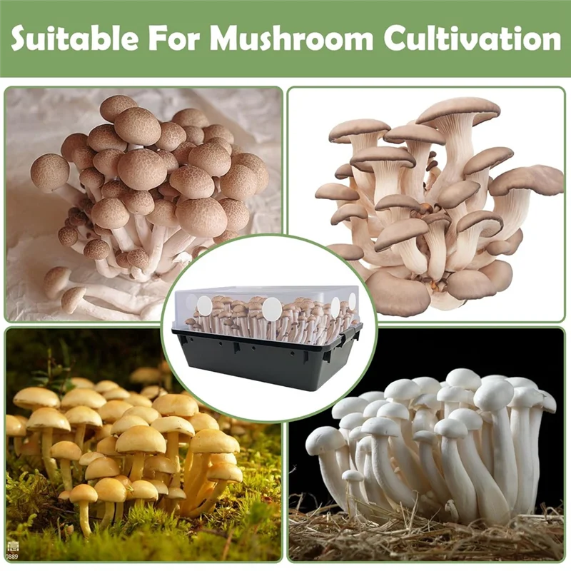 AAAN-2,5-дюймовые клейкие фильтрующие диски Monotub, 24 шт., фильтрующие диски Monotub толщиной 2 мм для принадлежностей для выращивания грибов
AAAN-2,5-дюймовые клейкие фильтрующие диски Monotub, 24 шт., фильтрующие диски Monotub толщиной 2 мм для принадлежностей для выращивания грибов