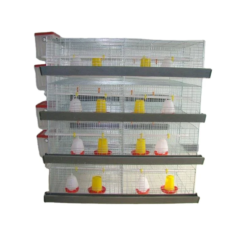 Chicken Project Bird Cage Export,Chicken Layer Cage Hen House Hen Layer Cage
Chicken Project Bird Cage Export,Chicken Layer Cage Hen House Hen Layer Cage