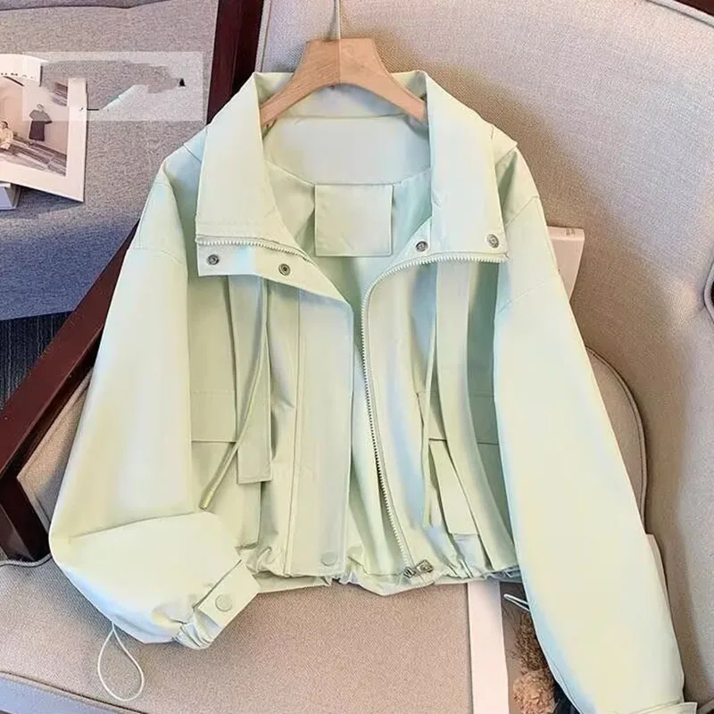 Весенне-осенняя женская рабочая куртка с коротким капюшоном и длинными рукавами, топы, пальто, женская свободная однотонная рабочая куртка для отдыха
Весенне-осенняя женская рабочая куртка с коротким капюшоном и длинными рукавами, топы, пальто, женская свободная однотонная рабочая куртка для отдыха