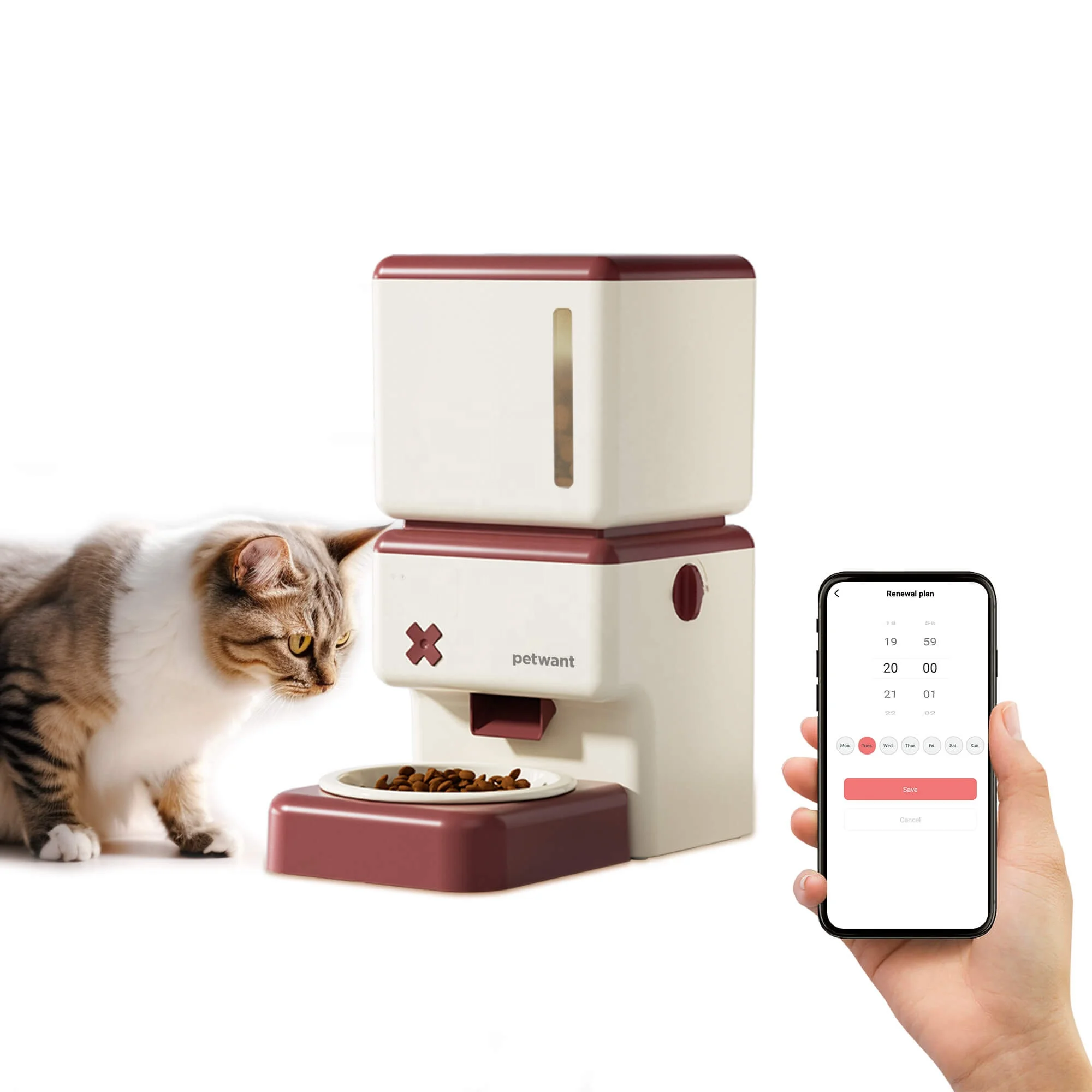 3.5L Smart WIFI Tuya APP Remote Feeding Auto Pet Food Dispenser With Ceramic Bowls
3.5L Smart WIFI Tuya APP Remote Feeding Auto Pet Food Dispenser With Ceramic Bowls