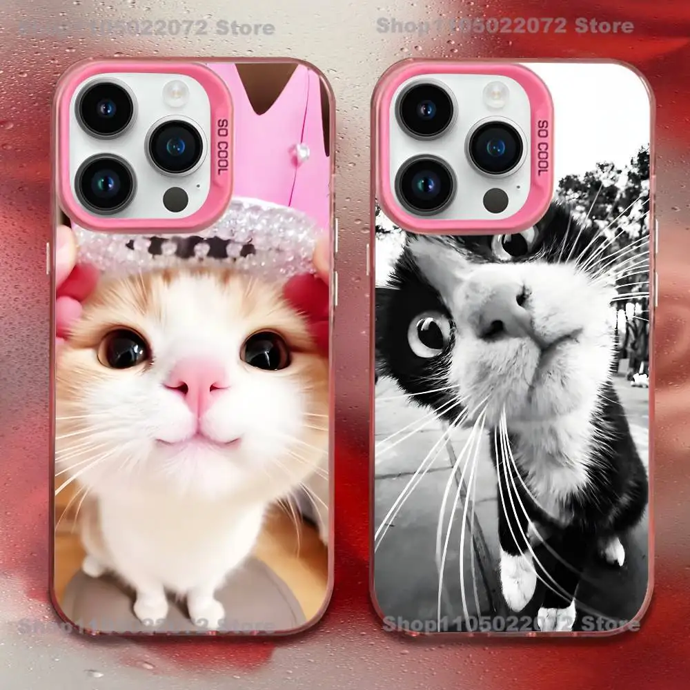 Cute cat Phone Case For iPhone 17,16,15,14,13,12,11,Mini,Pro,E,MAX Pink Candy Matte Shockproof Cover
Cute cat Phone Case For iPhone 17,16,15,14,13,12,11,Mini,Pro,E,MAX Pink Candy Matte Shockproof Cover