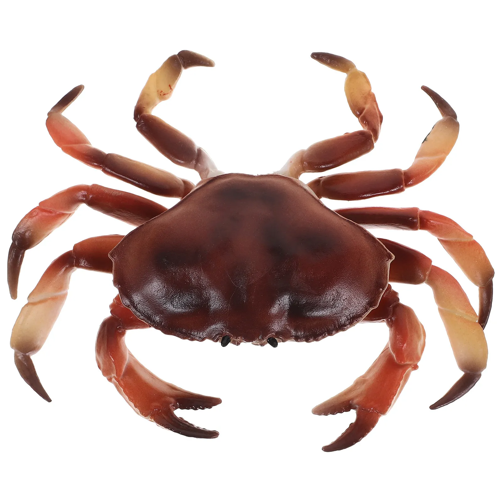 Plastic Simulation Crab Realistic Animal Decoration for Home Garden Nursery Educational Vivid Simulation Animal Crab Adornment
Plastic Simulation Crab Realistic Animal Decoration for Home Garden Nursery Educational Vivid Simulation Animal Crab Adornment