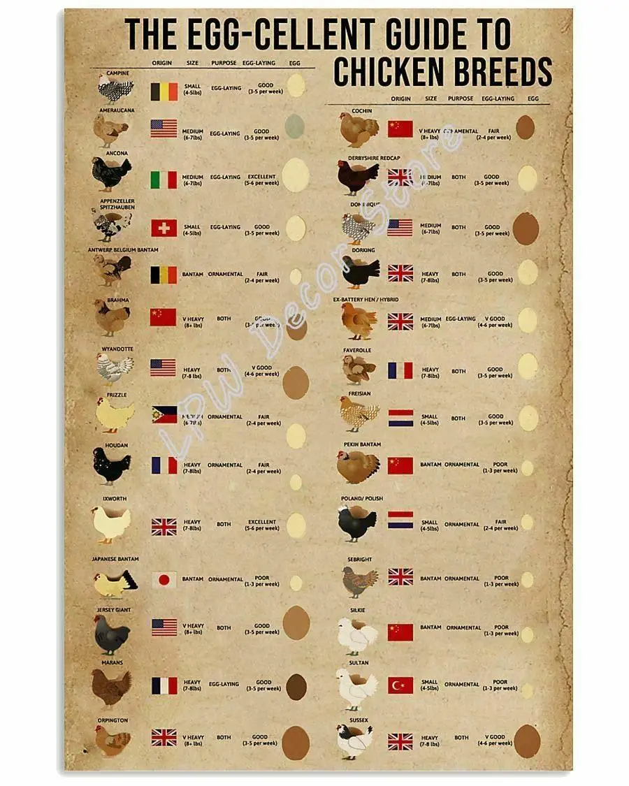 Chicken Breeds Egg Poster Egg Over The World for Farmer Bar Signs Metal Tin Sign Home Kitchen Diner Bar Pub and Man Cave
Chicken Breeds Egg Poster Egg Over The World for Farmer Bar Signs Metal Tin Sign Home Kitchen Diner Bar Pub and Man Cave