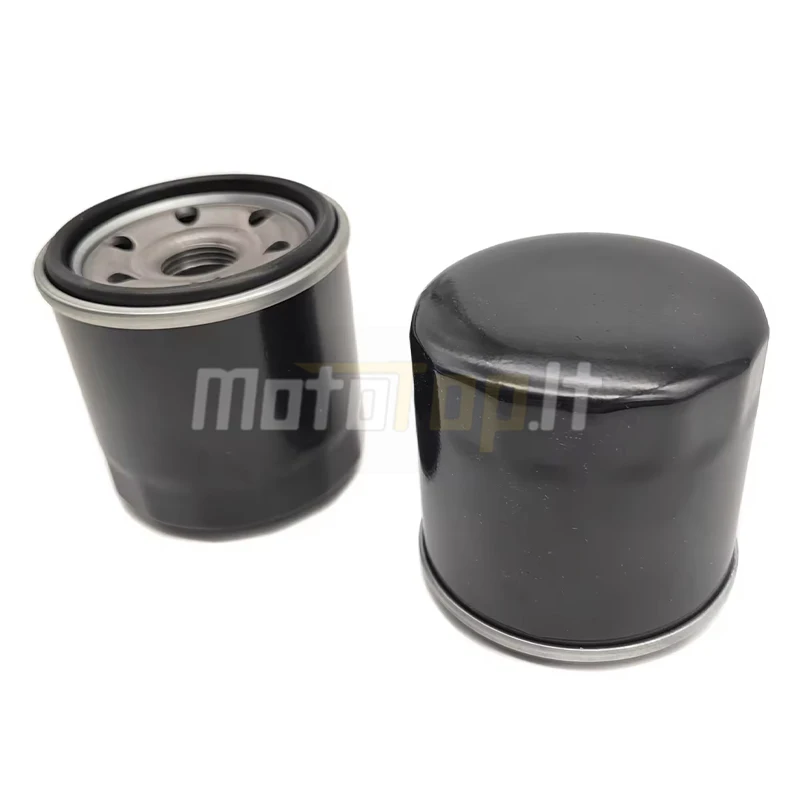 ATV QUAD OIL FILTER FOR KAZUMA 500CC JAGUAR 500 192MR-1012000 LU017540 16510-5020 LU028137
ATV QUAD OIL FILTER FOR KAZUMA 500CC JAGUAR 500 192MR-1012000 LU017540 16510-5020 LU028137