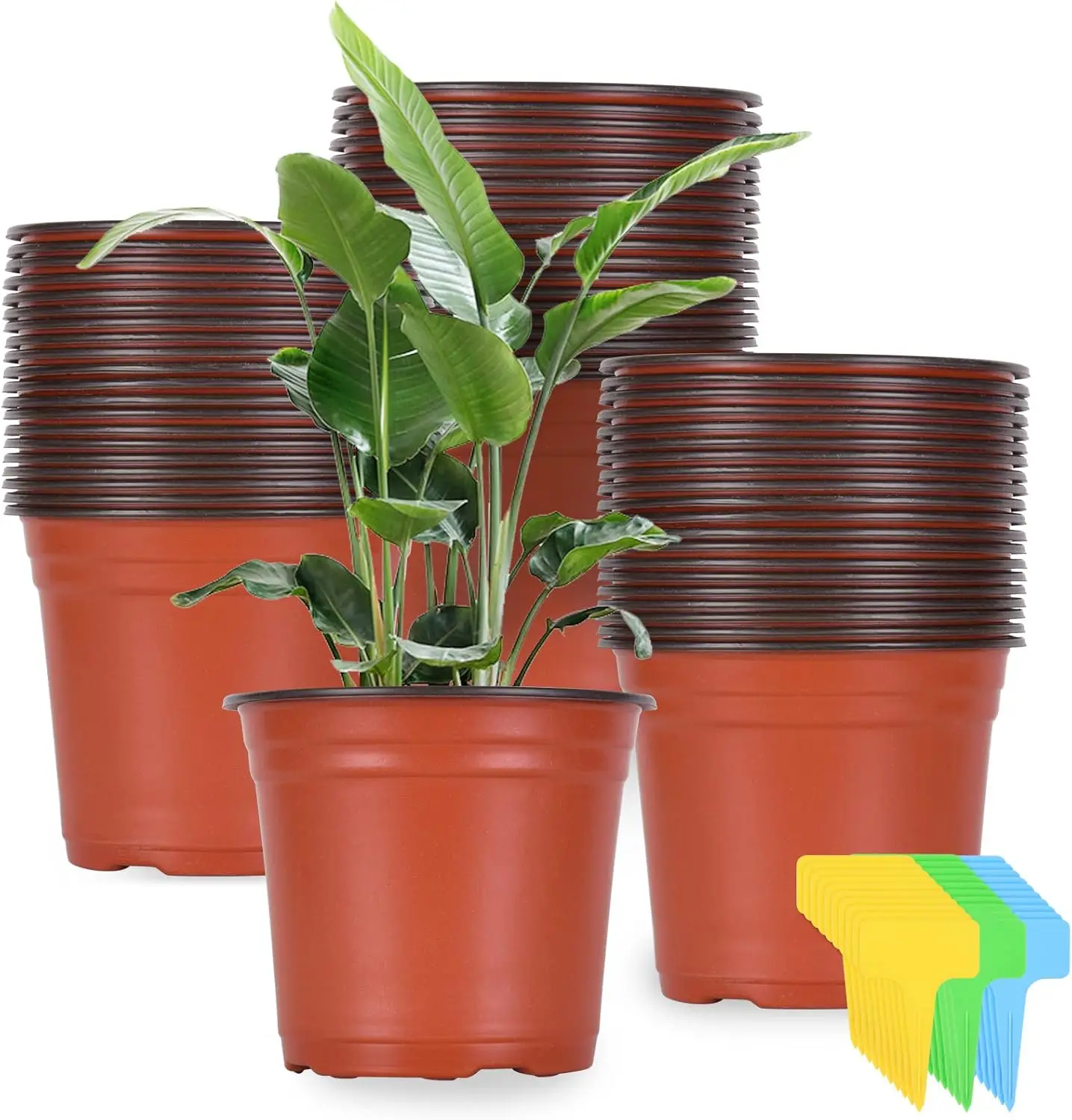 100 Pcs 6 Inch Nursery Pots with 30 Plant Labels, Plastic Seedling Pots for Gardening
100 Pcs 6 Inch Nursery Pots with 30 Plant Labels, Plastic Seedling Pots for Gardening