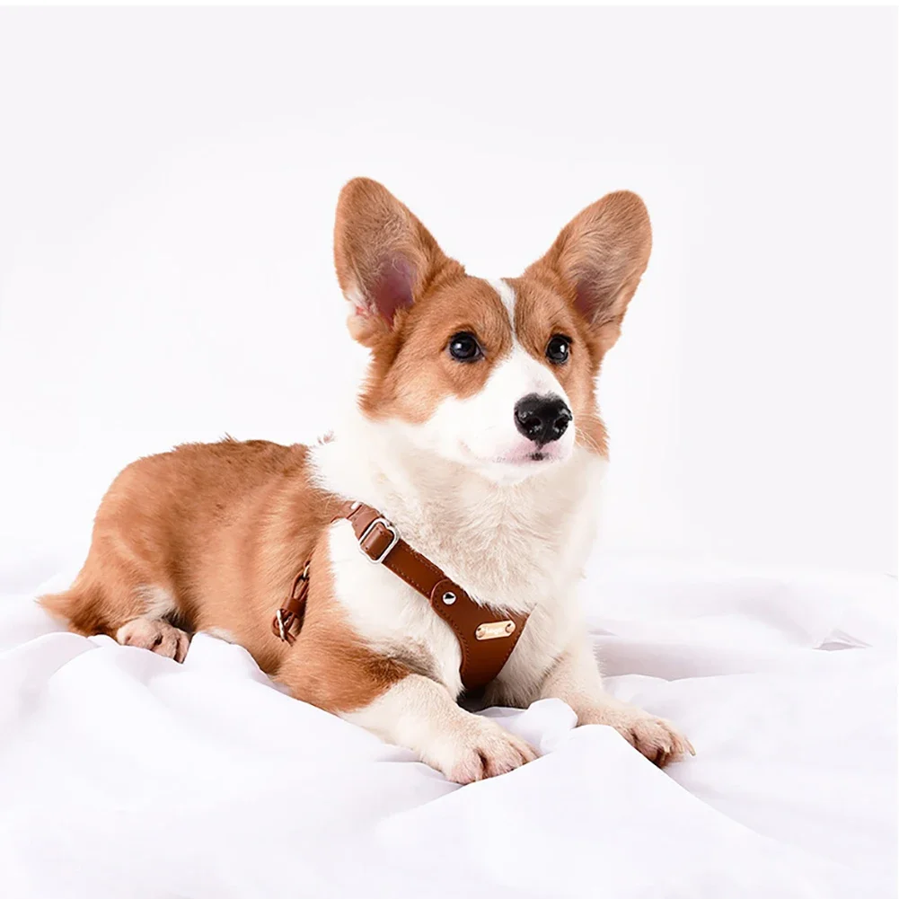 Soft Leather Dog Harness Escape Dog Vest Dog Harness Adjustable Dog Harness For Puppy Training Walking Hiking
Soft Leather Dog Harness Escape Dog Vest Dog Harness Adjustable Dog Harness For Puppy Training Walking Hiking