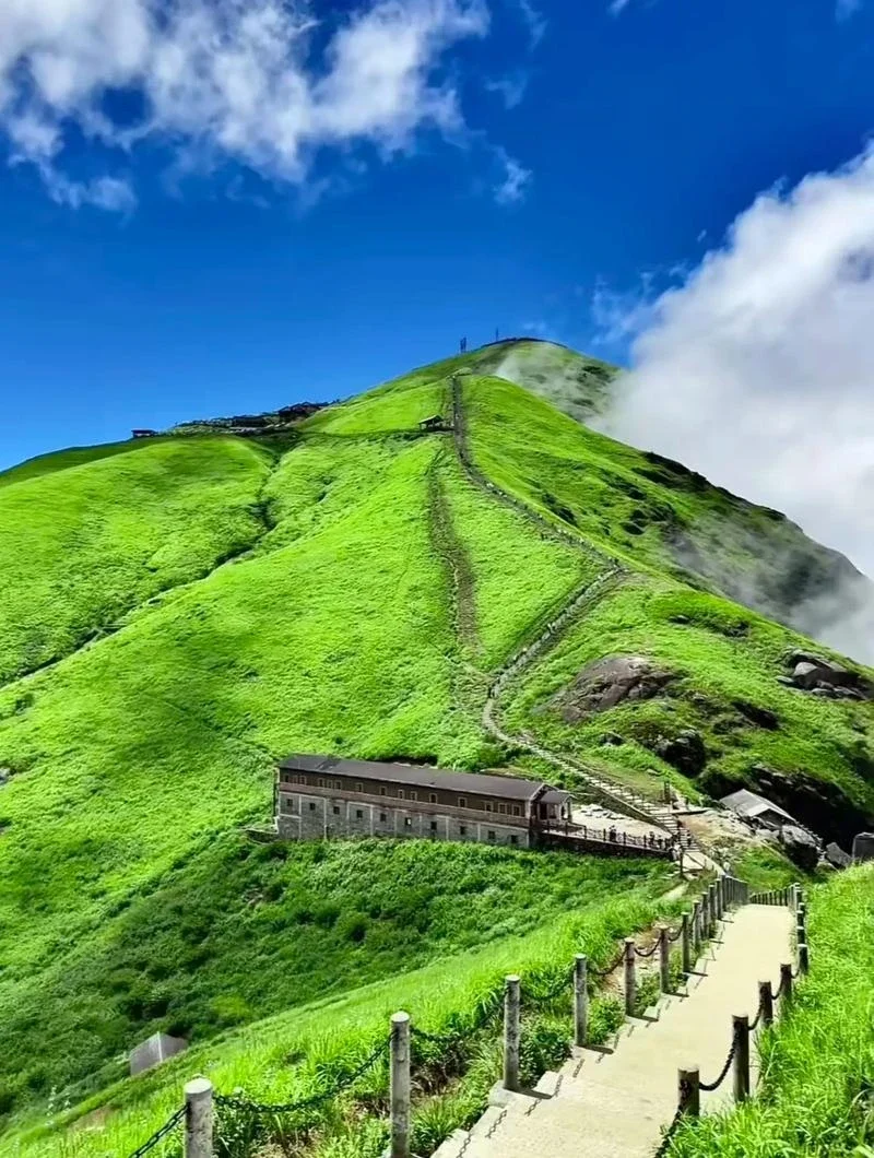 2 шт. карбоновые накладки на подрулевые лепестки переключения передач из ABS для Audi Q6L e-tron 2026, Q6L Sportback e-tron 2026
2 шт. карбоновые накладки на подрулевые лепестки переключения передач из ABS для Audi Q6L e-tron 2026, Q6L Sportback e-tron 2026