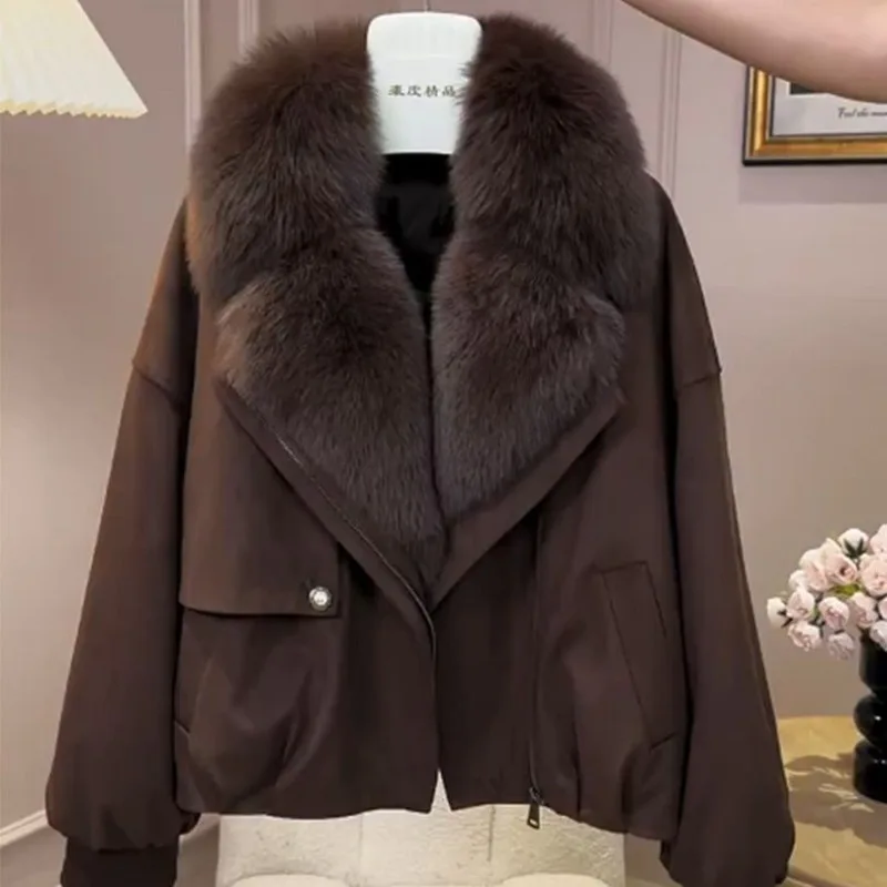 2026 Winter New Foreign Style Niche Beige Fur Collar Short Cotton Clothes Women's Loose Versatile and Thin Coat Coat
2026 Winter New Foreign Style Niche Beige Fur Collar Short Cotton Clothes Women's Loose Versatile and Thin Coat Coat