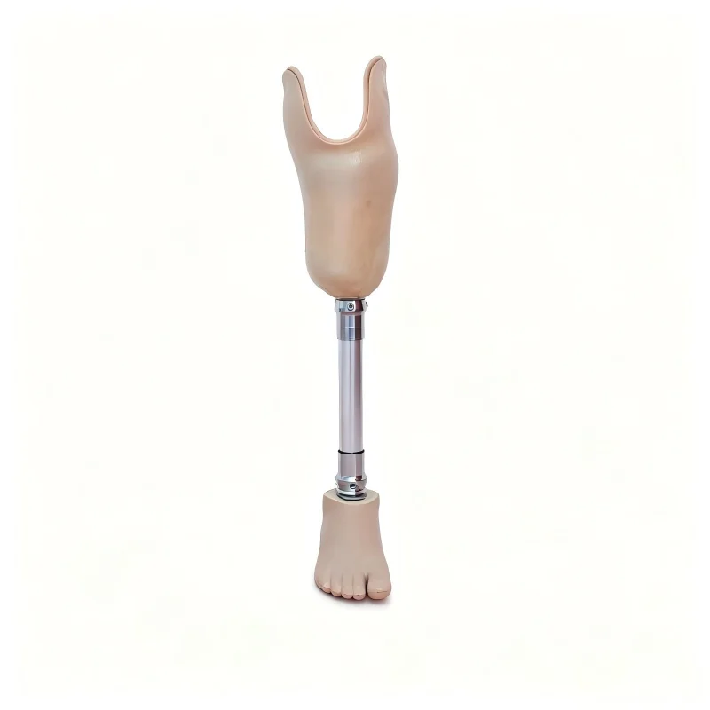 Lightweight artificial leg kit (including prosthetic foot) for below-knee amputation, stainless steel prosthetic components
Lightweight artificial leg kit (including prosthetic foot) for below-knee amputation, stainless steel prosthetic components