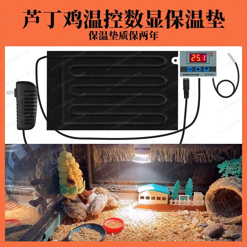 Rutin chicken insulation lamp, quail heating lamp, climbing pet sun back lamp, parrot heating mat
Rutin chicken insulation lamp, quail heating lamp, climbing pet sun back lamp, parrot heating mat