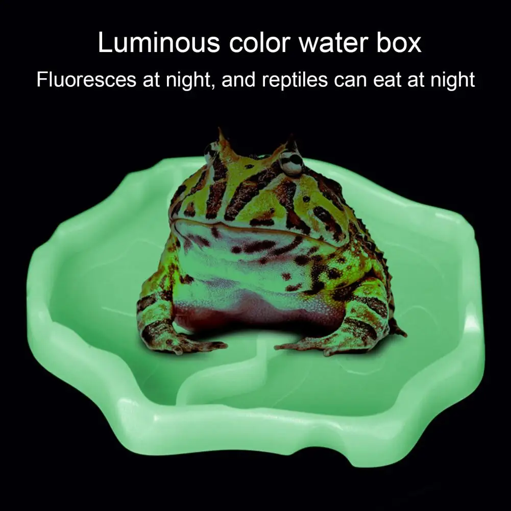 Reptile Water Feeder Detachable Structure Multi-use Plastic Food Dispenser Automatic Water Fountain For Turtle Bearded Dragon
Reptile Water Feeder Detachable Structure Multi-use Plastic Food Dispenser Automatic Water Fountain For Turtle Bearded Dragon