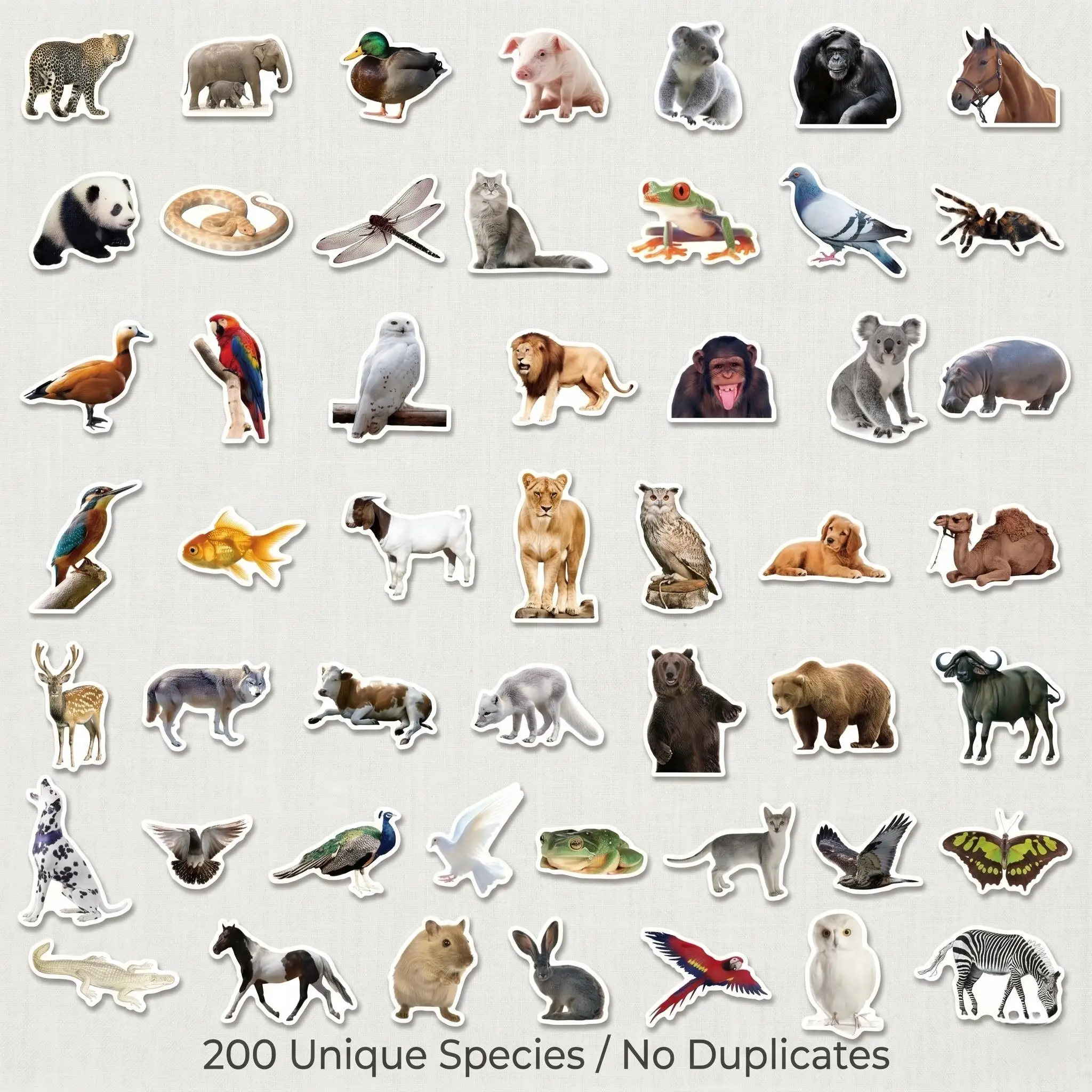 50/200Pcs Realistic Animal Stickers Wildlife Waterproof Vinyl Decals Kids Educational Toy Teacher Reward Laptop Water Bottle
50/200Pcs Realistic Animal Stickers Wildlife Waterproof Vinyl Decals Kids Educational Toy Teacher Reward Laptop Water Bottle