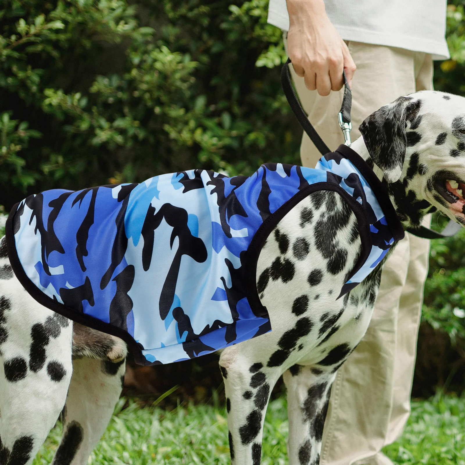 3 Pcs Pet Vest Puppy Outfits Dog Clothes Dogs Accessories Camouflage Shirt Costume
3 Pcs Pet Vest Puppy Outfits Dog Clothes Dogs Accessories Camouflage Shirt Costume