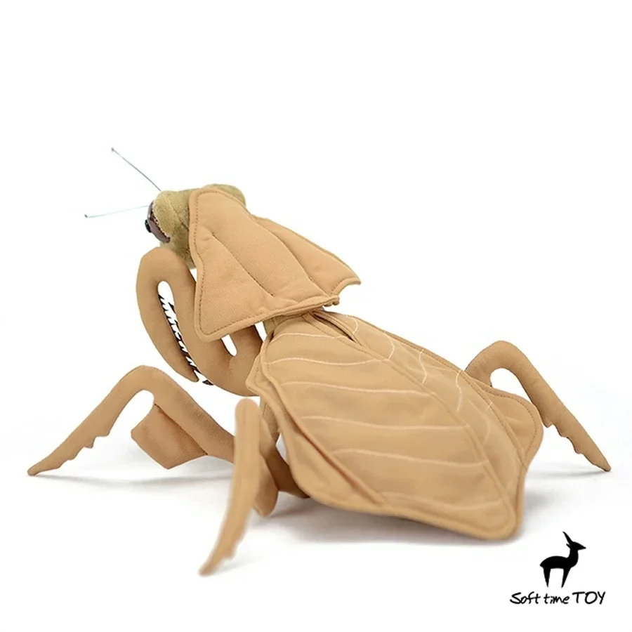 Deroplatys Mantis High Fidelity Anime Cute Plushie Mantis Plush Toys Lifelike Animals Simulation Stuffed Doll Kids Toy Gifts
Deroplatys Mantis High Fidelity Anime Cute Plushie Mantis Plush Toys Lifelike Animals Simulation Stuffed Doll Kids Toy Gifts
