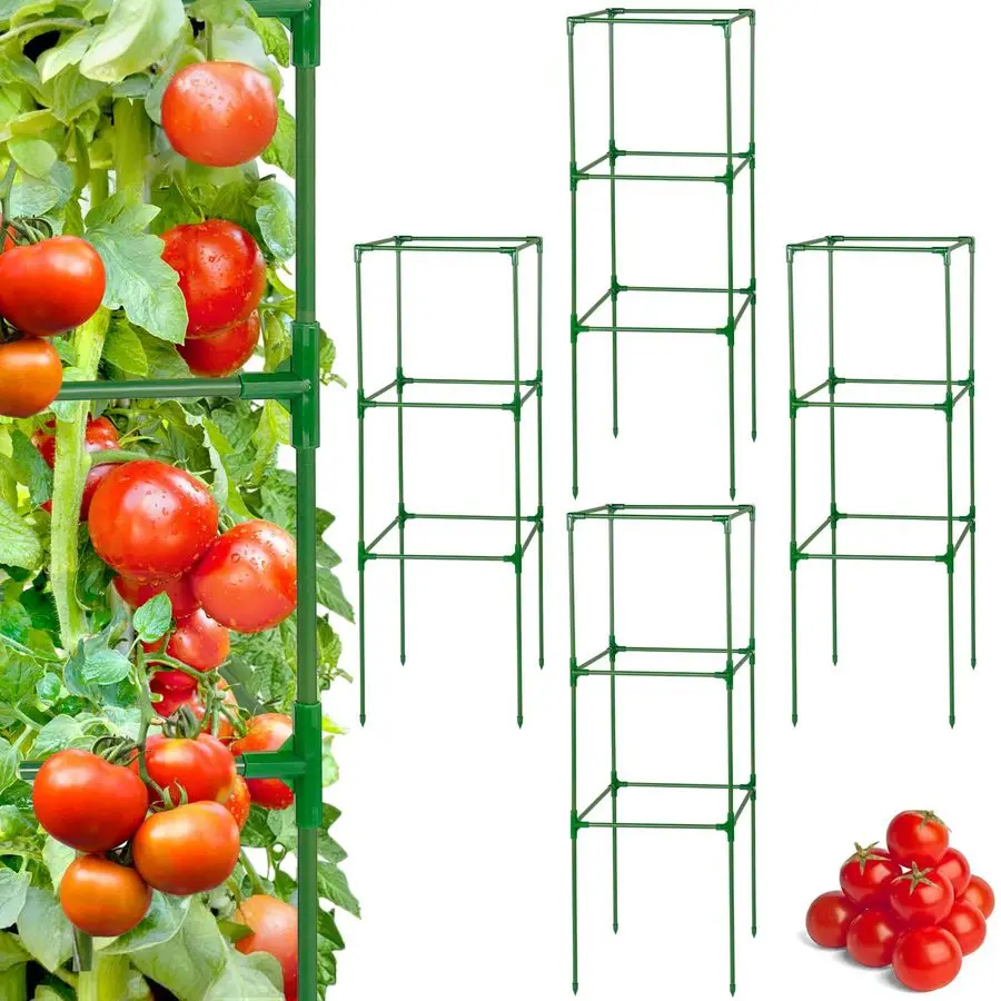 Опоры для томатов для сада, 45x14.5x14.5 дюймов, квадратные, из высокопрочной стали, для поддержки растений, опорные столбы, решетки для огурцов
Опоры для томатов для сада, 45x14.5x14.5 дюймов, квадратные, из высокопрочной стали, для поддержки растений, опорные столбы, решетки для огурцов