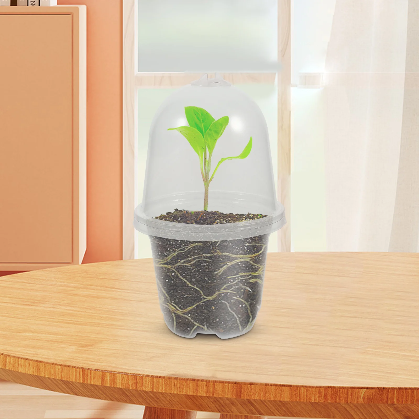 Flower Nursery Pots Clear Dome With Drainage Holes Pet Plastic Planting Containers For Succulents Indoor Outdoor Gardening
Flower Nursery Pots Clear Dome With Drainage Holes Pet Plastic Planting Containers For Succulents Indoor Outdoor Gardening