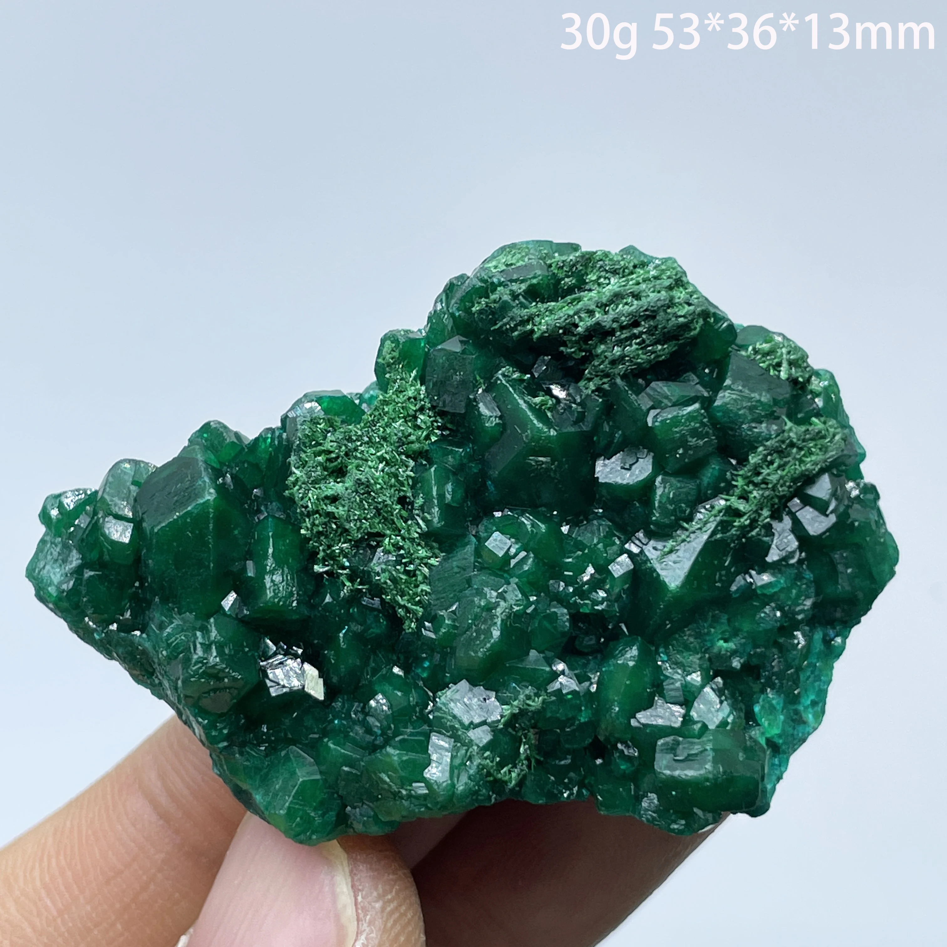 Natural Congo Dioptase and Malachite Mineral Specimen Healing Crystal Stone for Home Decor And Teaching Quartz
Natural Congo Dioptase and Malachite Mineral Specimen Healing Crystal Stone for Home Decor And Teaching Quartz