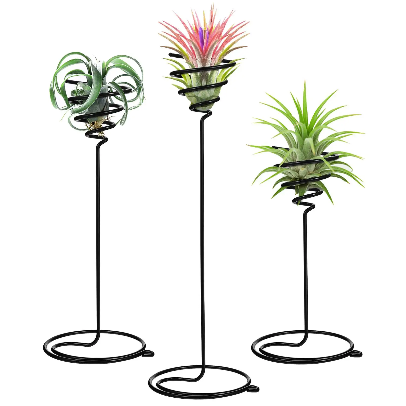 3 Pcs Decorative Air Pineapple Stand Artificial Plants Outdoor Holder Wired Black Office
3 Pcs Decorative Air Pineapple Stand Artificial Plants Outdoor Holder Wired Black Office