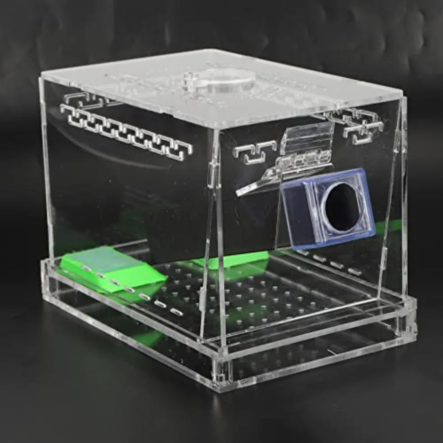 【Spot goods】Cricket Care Kit with Feces Layer Acrylic Feeding Cricket Keeper with a Food Feeding Tub Care Kit Reptile Tank Box
【Spot goods】Cricket Care Kit with Feces Layer Acrylic Feeding Cricket Keeper with a Food Feeding Tub Care Kit Reptile Tank Box