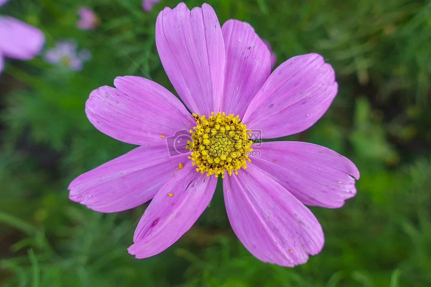 Комплект колес и шин для радиоуправляемых краулеров 1.9 дюйма, шестигранник 12 мм, улучшенные, подходят для TRX4 SCX10 TRX6 Capra Enduro Gen8 Wraith Axial Trxs Redcat HSP
Комплект колес и шин для радиоуправляемых краулеров 1.9 дюйма, шестигранник 12 мм, улучшенные, подходят для TRX4 SCX10 TRX6 Capra Enduro Gen8 Wraith Axial Trxs Redcat HSP