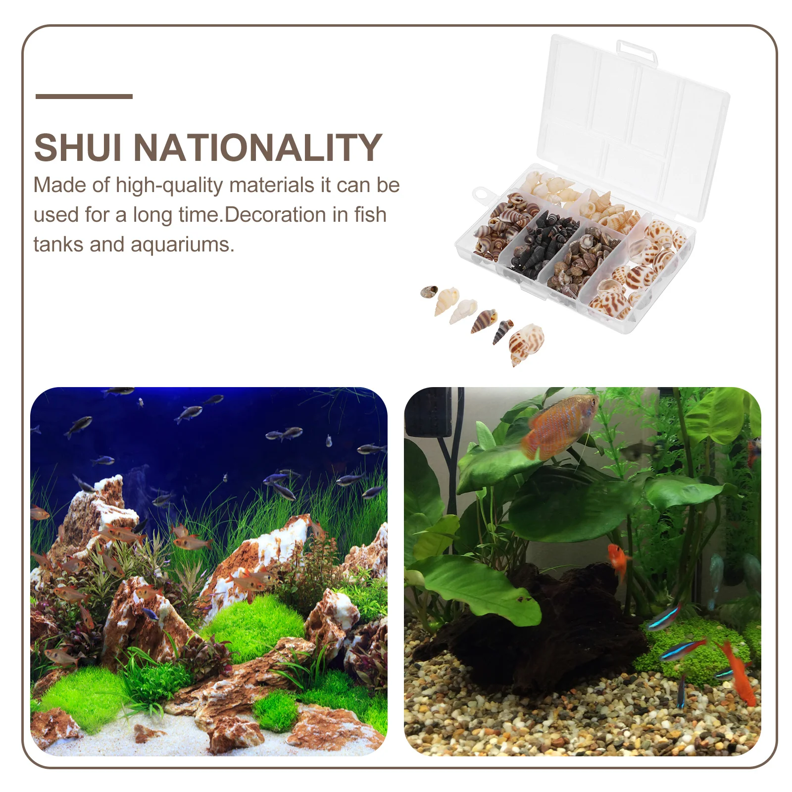 1 Box Natural Conch Shell Decor For Fish Tank Aquarium Landscaping Ornament Vase Fillers Home Decoration Crafts Interior Design
1 Box Natural Conch Shell Decor For Fish Tank Aquarium Landscaping Ornament Vase Fillers Home Decoration Crafts Interior Design