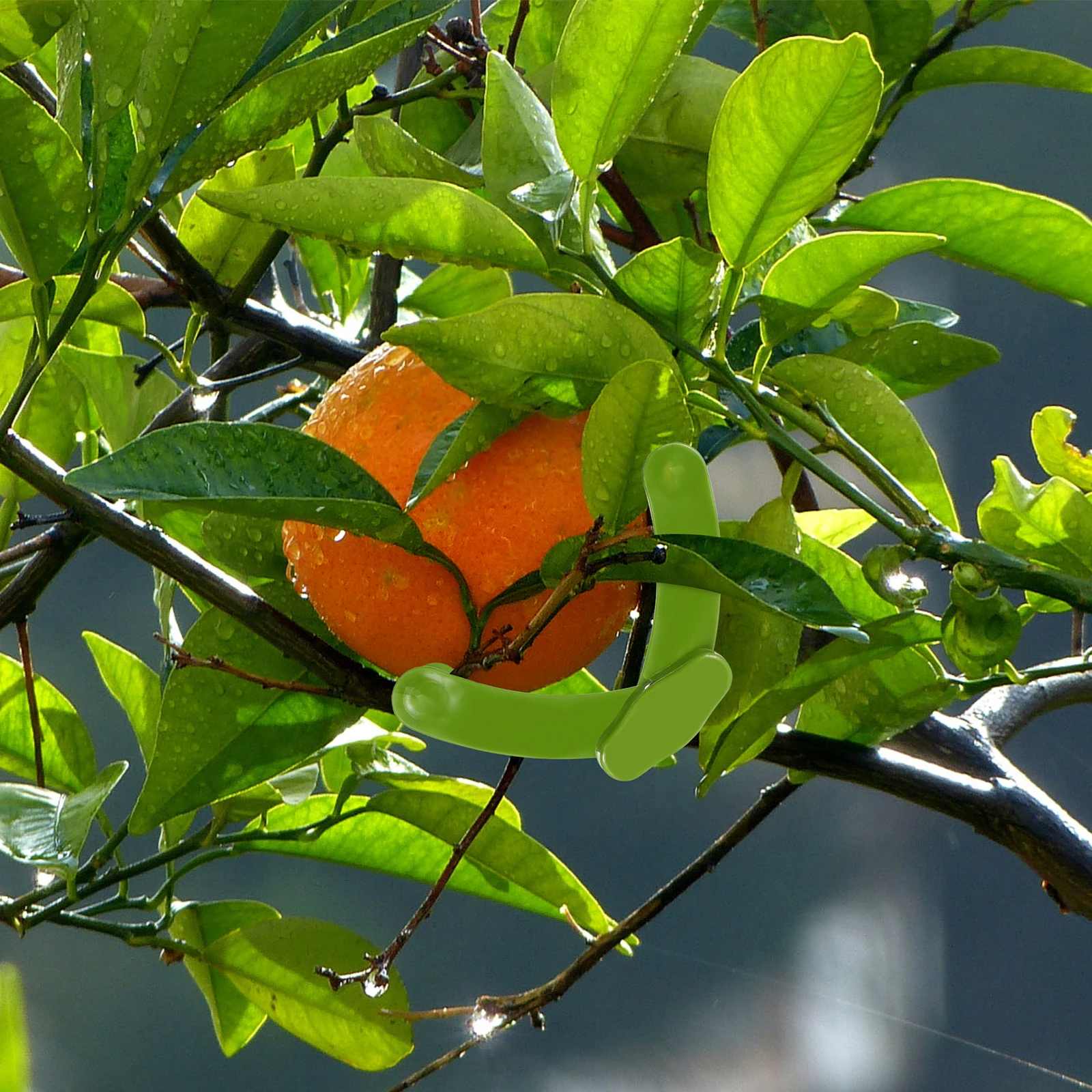 Plant Support Garden Clip Branch Press Indoor Plants Twig Bending Spreader Plastic Gardening Clips
Plant Support Garden Clip Branch Press Indoor Plants Twig Bending Spreader Plastic Gardening Clips