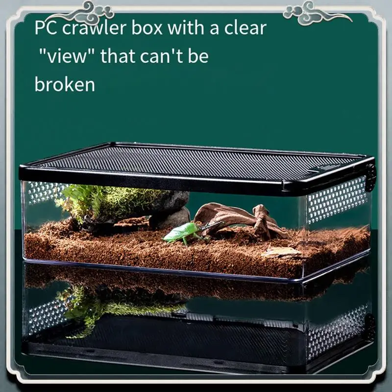 Durable Transparent Reptile Feeding Box Amphibian Insect Reptile Breeding Box Ventilation Hatching Container Reptile Breedingbox
Durable Transparent Reptile Feeding Box Amphibian Insect Reptile Breeding Box Ventilation Hatching Container Reptile Breedingbox