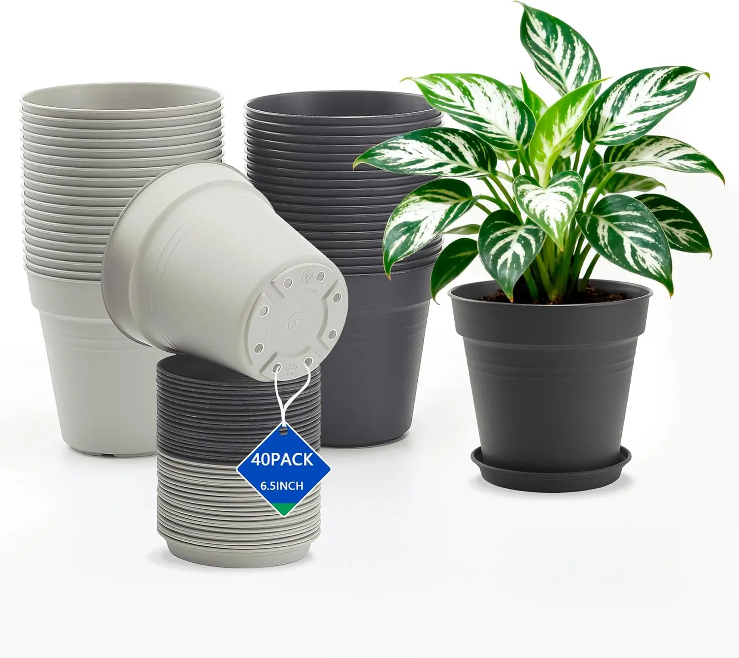 40 Pack 6.5 Inch Pots for Plants with Drainage Holes and Trays, Indoor Plant Pots and Flower Pots Outdoor, Plastic Plant
40 Pack 6.5 Inch Pots for Plants with Drainage Holes and Trays, Indoor Plant Pots and Flower Pots Outdoor, Plastic Plant